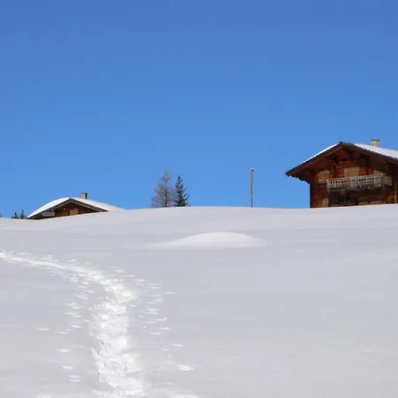 Grifla Appartamento *