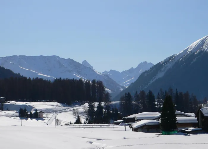 Grifla ダヴォス・プラッツ