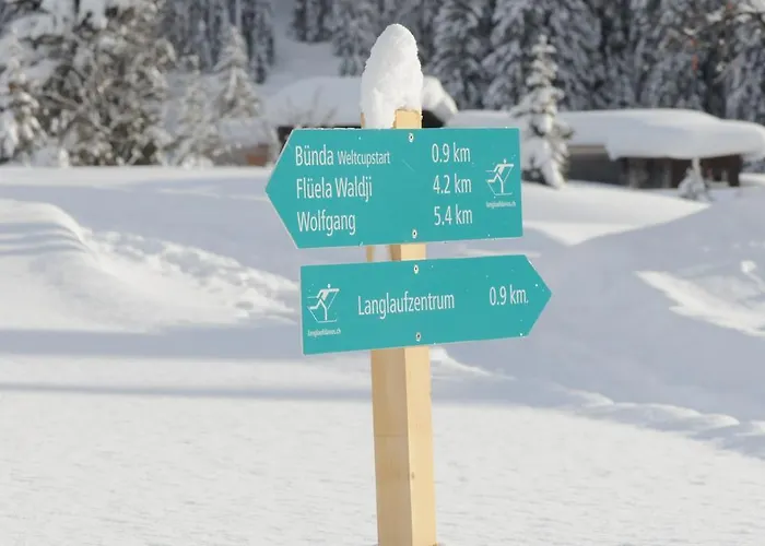 Grifla ダヴォス・プラッツ