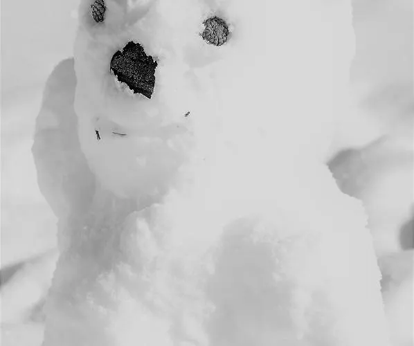 Grifla ダヴォス・プラッツ