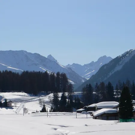 Grifla Davos